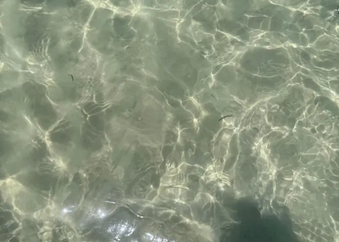 Camping Peaceful Caravan Escape Costa da Caparica