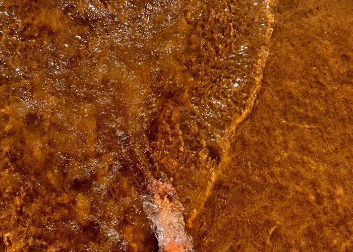 Camping Peaceful Caravan Escape