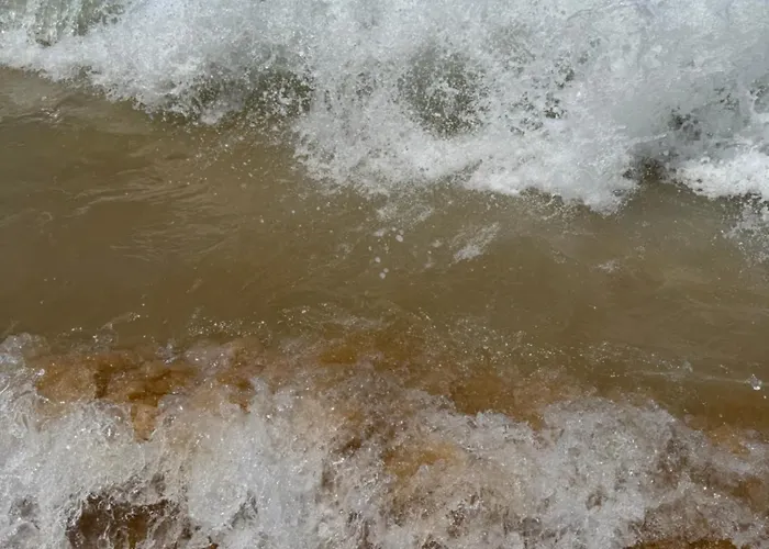 Peaceful Caravan Escape Costa da Caparica