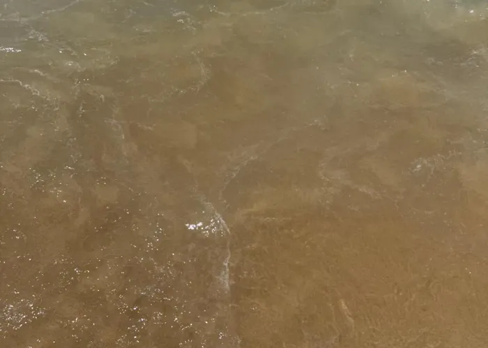 Peaceful Caravan Escape Camping *